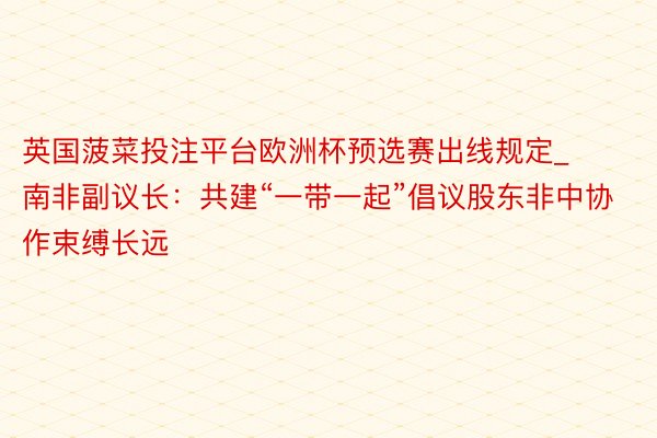 英国菠菜投注平台欧洲杯预选赛出线规定_南非副议长：共建“一带一起”倡议股东非中协作束缚长远